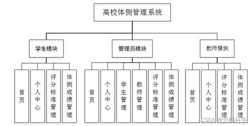 SSM高校體質測試管理系統（DP69W） 應對計算機畢業設計困難的解決方案